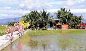 Warm spring colors in Dua hamlet