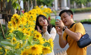 Rush to check-in Phu My Hung flower street before opening time