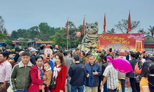 'Miss mèo' Quảng Trị thu hút hàng vạn người đến chụp ảnh