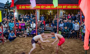 Return to Hue to see Sinh village's wrestling festival