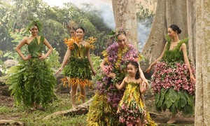 NTK Minh Hạnh dùng bộ sưu tập từ hoa, lá cành kêu gọi bảo vệ môi trường 