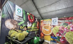 Năm 2023 dự kiến xuất khẩu sầu riêng đạt 1,2-1,5 tỉ USD