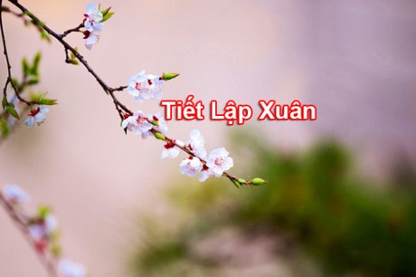 Lập Xuân là thời điểm mà mọi nơi đều tràn ngập sắc xuân tươi vui. Hãy đến với hình ảnh liên quan để thả hồn vào không gian yên bình, thưởng ngoạn cảnh đẹp của mùa xuân.