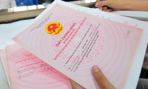 Tòa công nhận hợp đồng chuyển nhượng đất theo tinh thần án lệ
