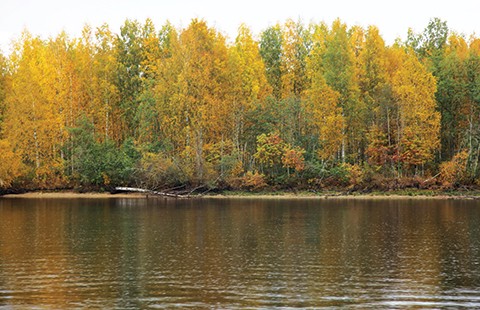 Mùa thu trên dòng Volga