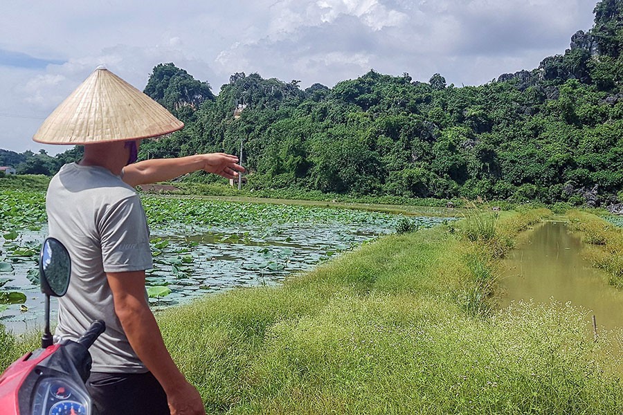 Người dân kể lại lúc thấy dê bị bắn hạ ảnh 2