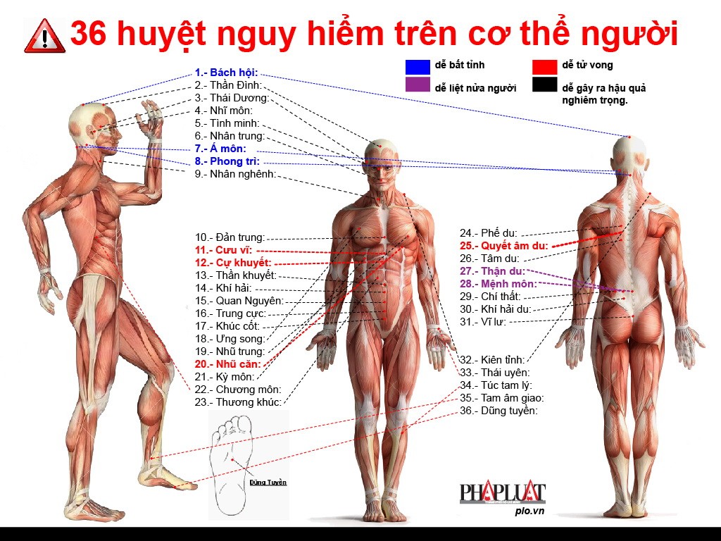 36 Huyệt Nguy Hiểm Trên Cơ Thể Người