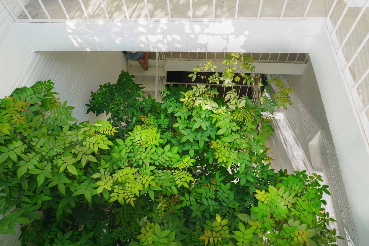 Empty box house in District 12, Ho Chi Minh City photo 16