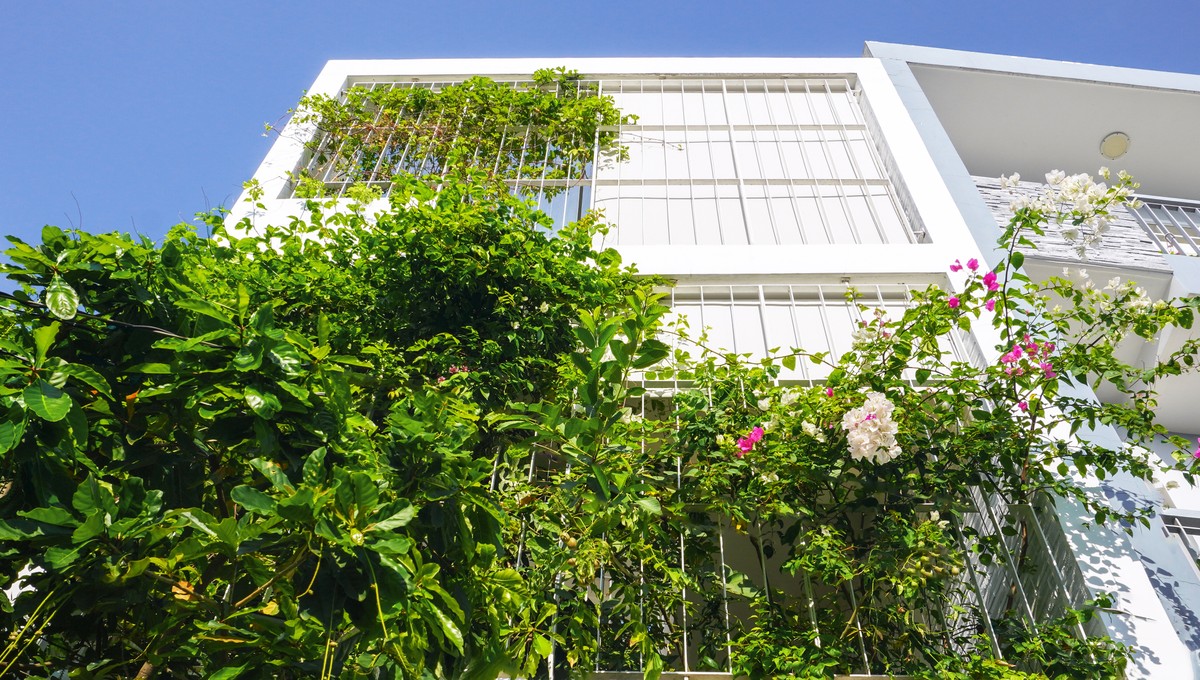 Empty box house in district 12, HCMC photo 4