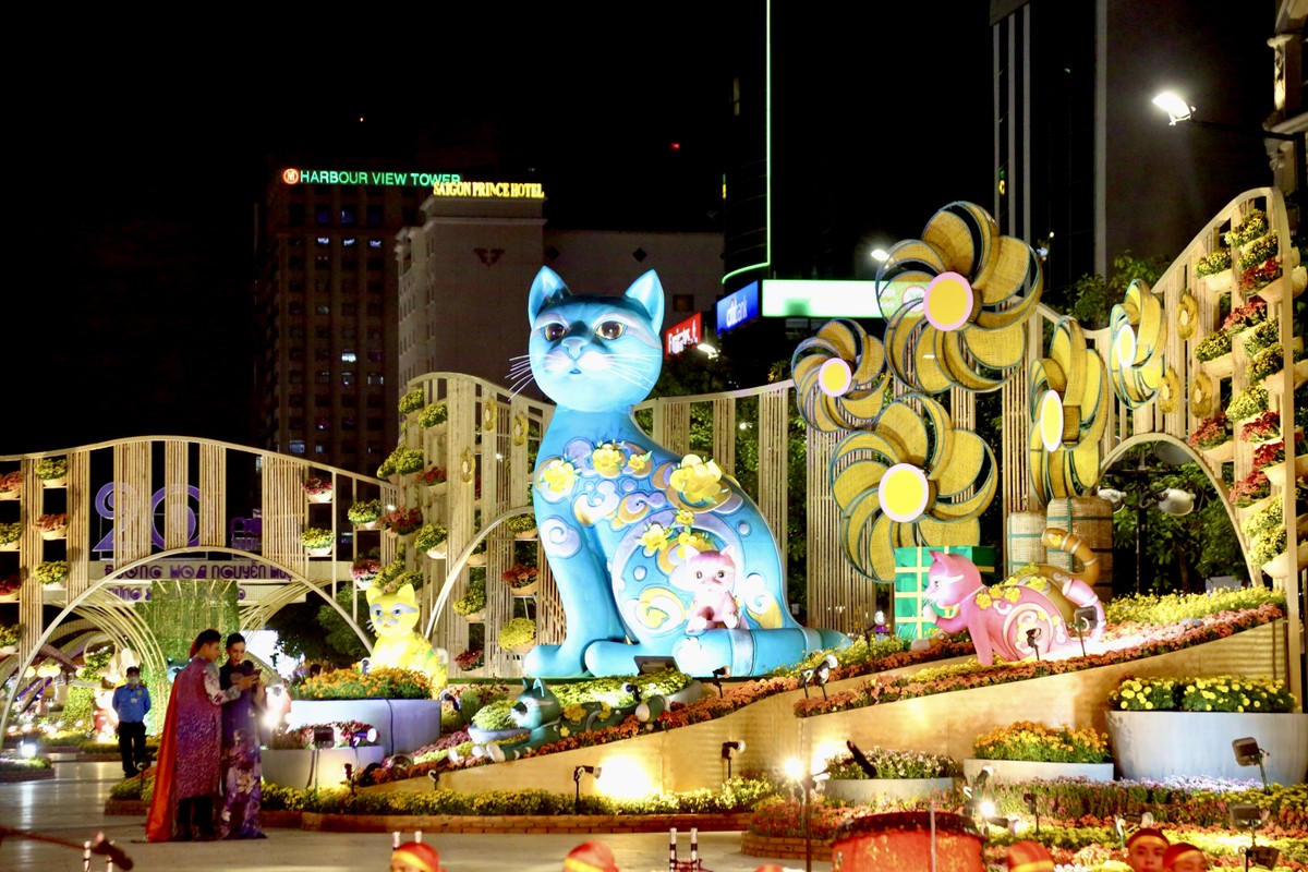 People excitedly visit Nguyen Hue flower street on the opening day photo 5