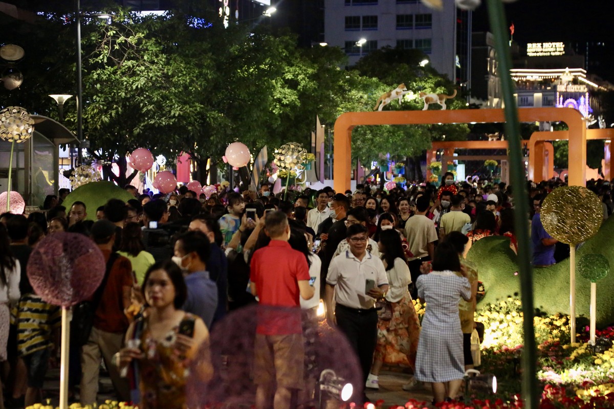 People are excited to visit Nguyen Hue flower street on the opening day photo 4