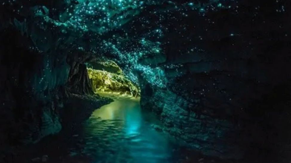 Việt Nam sở hữu 1 trong 10 hang động đẹp nhất thế giới ảnh 6