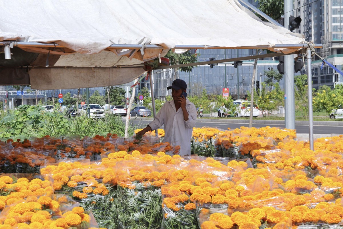 'Last fair' at Thu Duc City Spring Flower Market 2023 photo 2