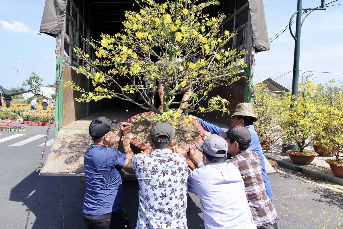 'Last market' at Thu Duc City Spring Flower Market 2023 photo 4