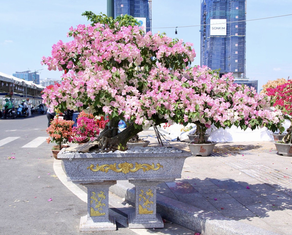 'Last fair' at Thu Duc City Spring Flower Market 2023 photo 3