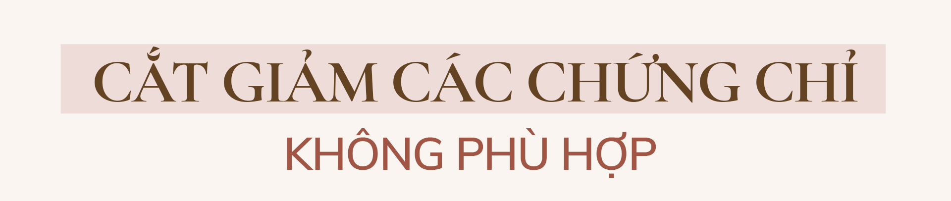 Bộ trưởng Bộ Nội vụ: Phải đổi mới, không có lựa chọn khác ảnh 5