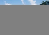 Đà Nẵng báo cáo Thủ tướng vụ hủy kết quả đấu giá với Vipico