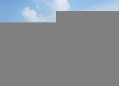 Đà Nẵng thông tin việc hủy kết quả đấu giá của Vipico