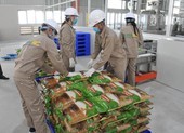 Đầu năm, gạo Việt Nam được nhiều nước mua với giá cao