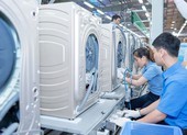 Chăm sóc đến tận 'chân hàng rào' để mời gọi nhà đầu tư ngoại