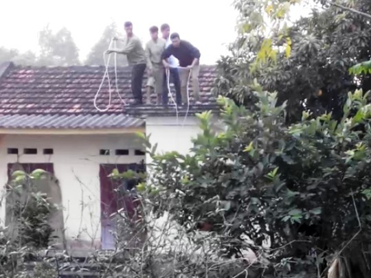 Người dân đứng trên mái nhà thả giây thòng lòng bắt con trâu điên Người dân đứng trên mái nhà thả giây thòng lòng bắt con trâu điên