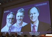 Nobel Y học 2019: Vinh danh phát hiện tế bào thích nghi ôxy