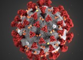 Virus gây dịch COVID-19 xuất hiện biến thể cực nguy hiểm