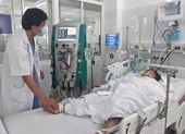 Hái nấm về ăn tối, 3 người trong 1 gia đình nguy kịch