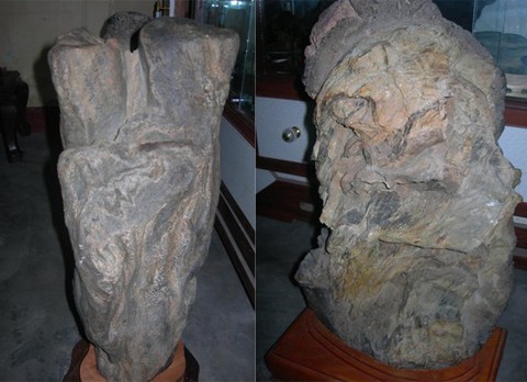 Kỳ lạ: nhặt được gốc cây "mục" tiền tỷ ảnh 5