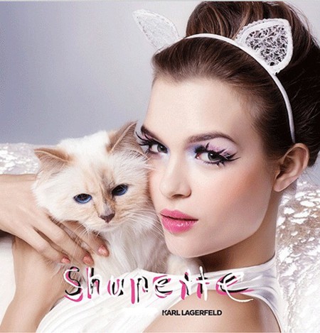 Năm ngoái, Choupette đã kiếm bộn tiền từ hai hợp đồng quảng cáo.