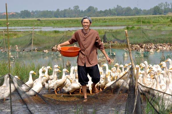 Cho đến hình ảnh người nông dân chân chất