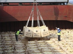 EU đánh giá tình trạng lương thực của Triều Tiên ảnh 1