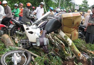 Mưa dông làm cây đổ đè 3 xe máy đang lưu thông ảnh 1