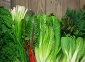 Các loại thực phẩm ngừa bệnh béo phì