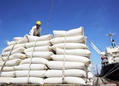 Nóng: Chính thức đề xuất Thủ tướng cho xuất khẩu gạo trở lại