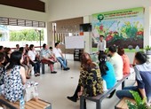 Để có một tác phẩm cây cảnh độc đáo