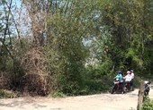 Cò đất náo loạn miền Trung: Bờ tre, gốc rạ đổi ra tiền tỉ