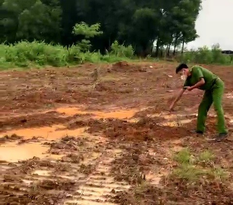 Prosecuting the case of destroying 1,600 crops in Dong Nai to investigate photo 2