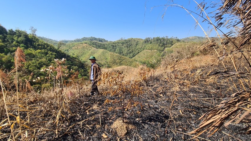 Những kẻ phá rừng ở Đắk Nông rải đinh để ngăn việc dập lửa ảnh 1
