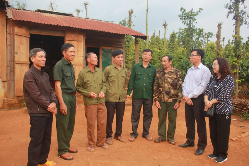 Lý do toà trả hồ sơ vụ 6 cựu chiến binh bị cáo buộc hủy hoại rừng ở Đắk Nông ảnh 1
