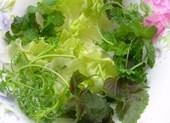 Rau sống ngâm nước muối loãng an toàn đến đâu?