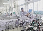 Mất chân, tử vong do kiến, gián, ve sầu...
