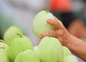 Trời nắng nóng, ăn 5 món này cơ thể sẽ được làm mát