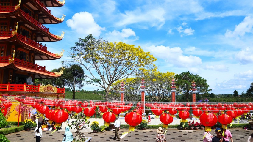 Bao Loc people welcome a happy spring photo 7