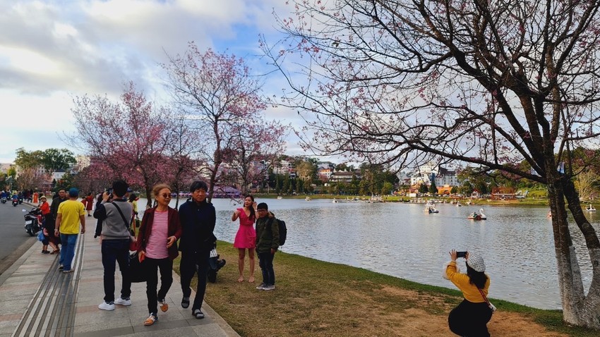 Tourists flock to Da Lat city for spring vacation Photo 4