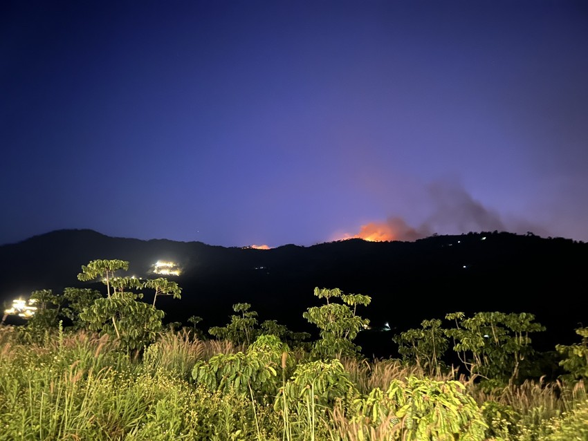 Big fire on Dai Binh mountain, Lam Dong province photo 6