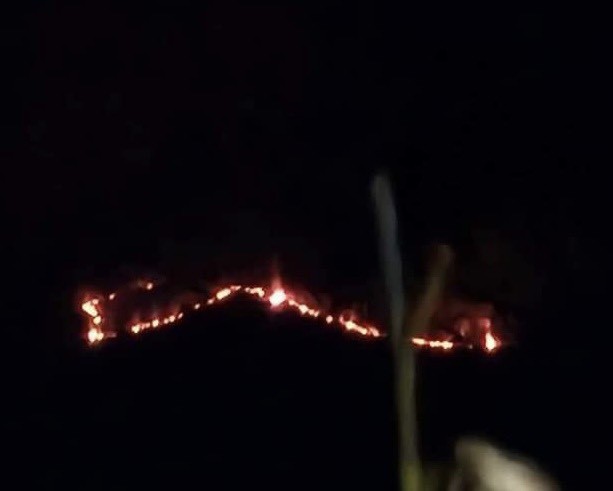 Big fire on Dai Binh mountain, Lam Dong province photo 5