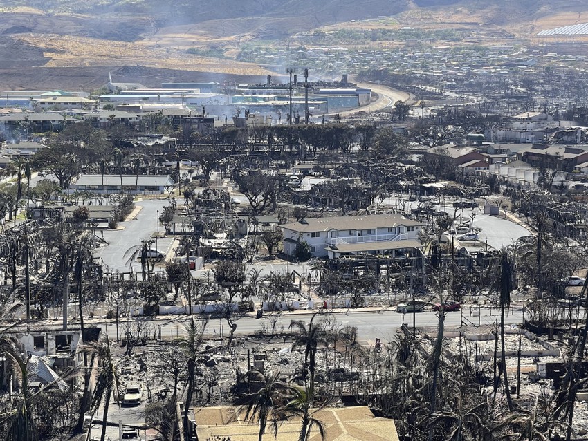 Cháy rừng Hawaii: Tang thương và giận dữ ảnh 1