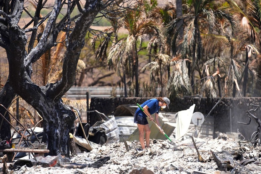 Cháy rừng Hawaii: Tang thương và giận dữ ảnh 2