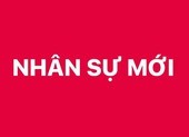 Bổ nhiệm 3 Trợ lý Thủ tướng, Phó Thủ tướng